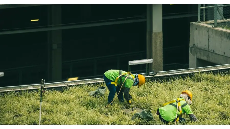 Construção de jardins e áreas de convivência no Bairro Cidade Baixa, Porto Alegre